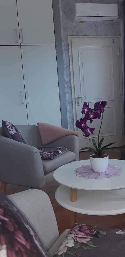 Lila Haz Daire Harkány Dış mekan fotoğraf